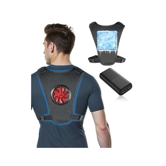 ペルチェ ベスト【2025超大冷却面・冷却ブレート付き・20000mAh大容量