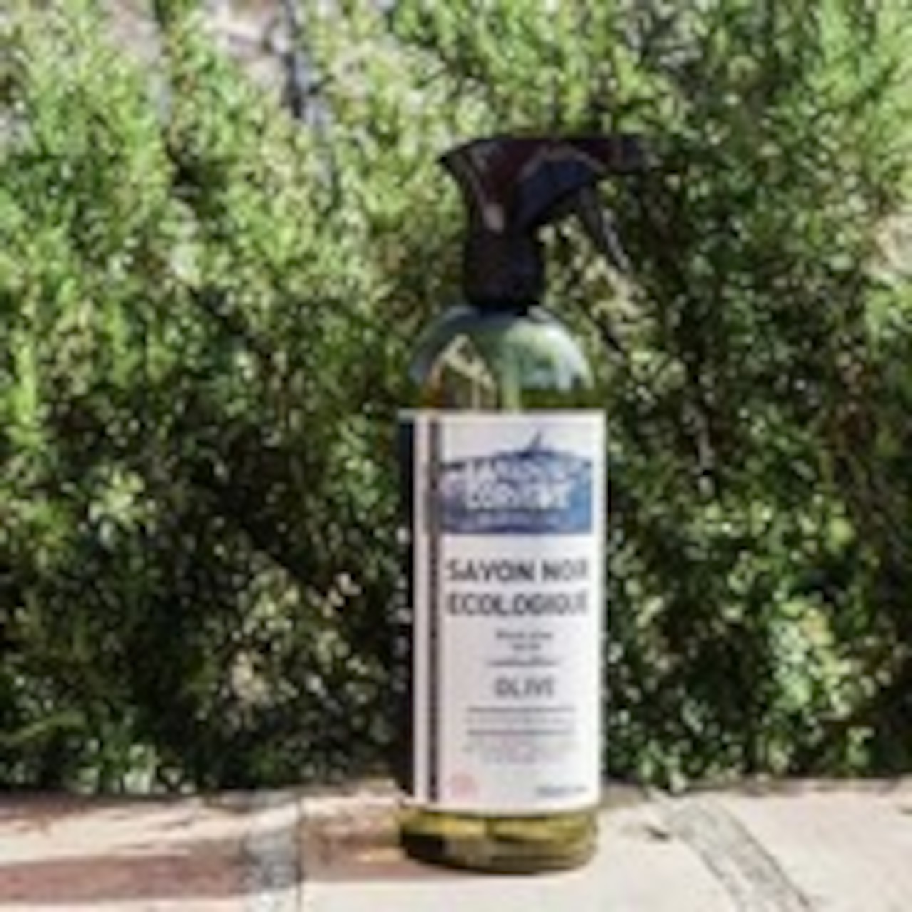 LA CORVETTE サボンノワール・エコロジー ブラックソープスプレー 750ml