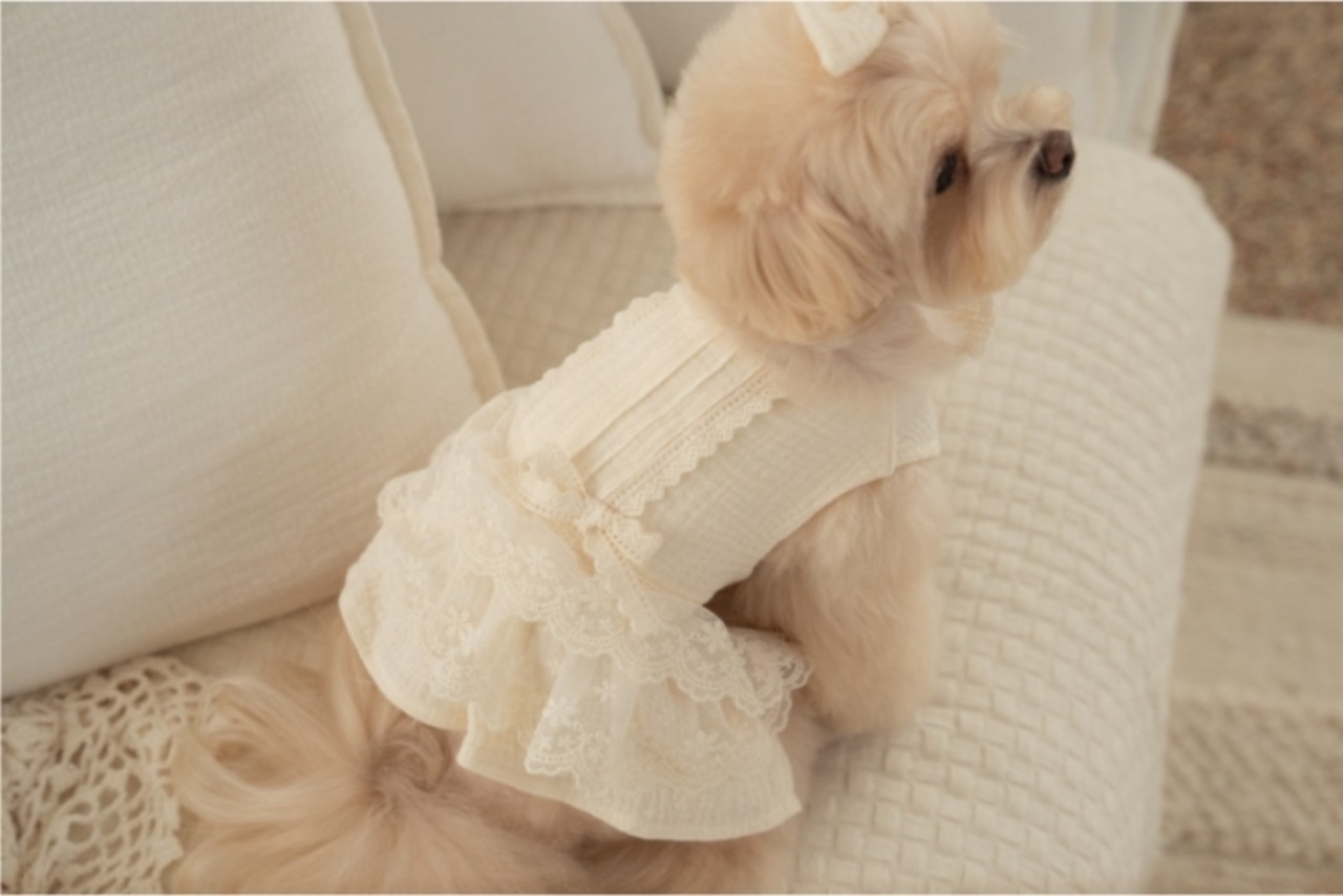 予約【pecoramou select】Cozy lace Dress