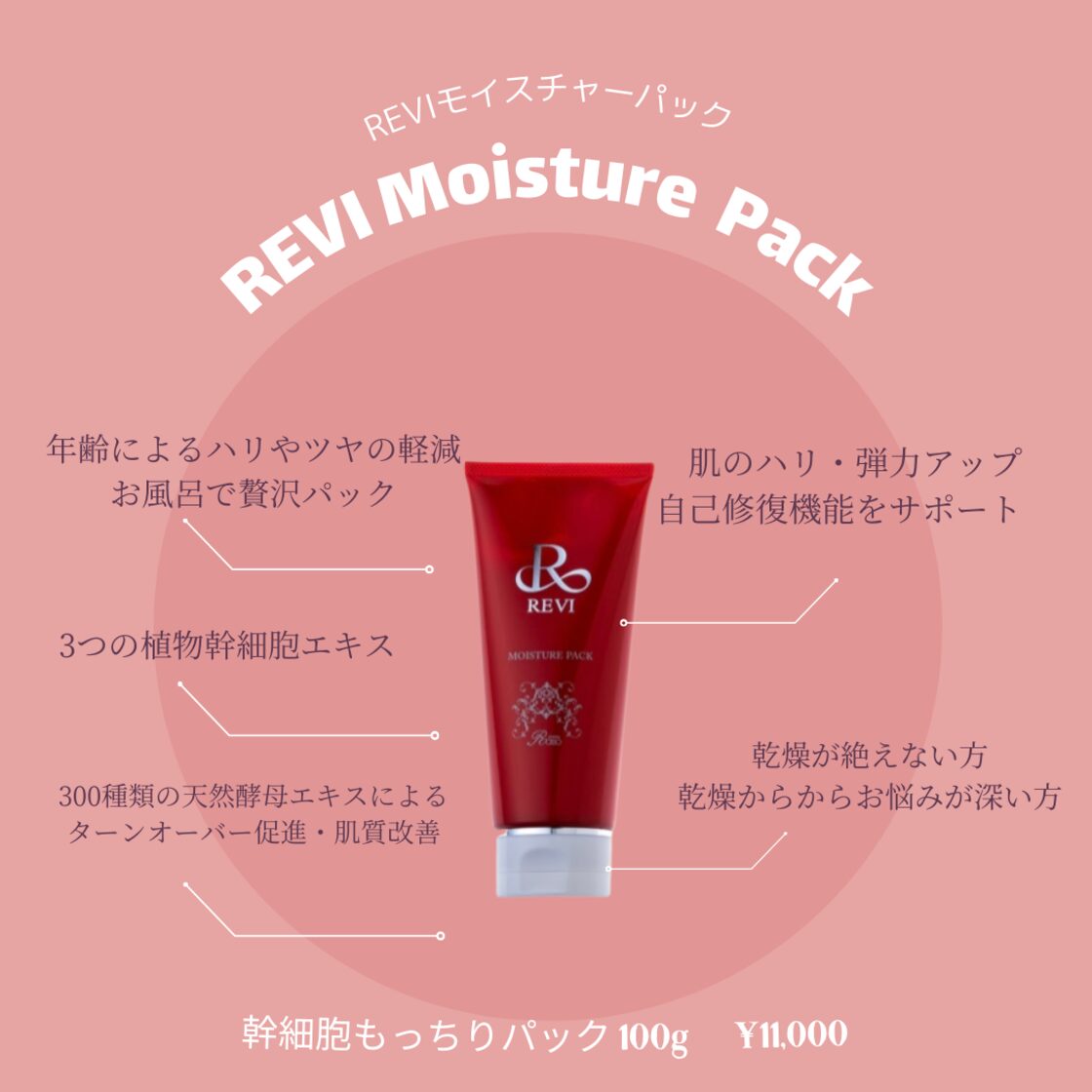 ルヴィ 2個セット モイスチャーパック 100g REVI REVI