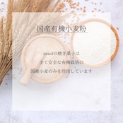 【限定20個】メリークリスマスクッキー缶