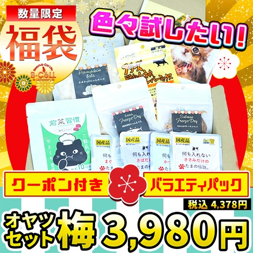 ※完売しました【猫専用おやつ福袋「梅パック」】お試しパック！5,000円相当以上のオヤツ入り！色々試せる猫オヤツの超お得パック！10種以上入り！（ネコポス便でお届け！）