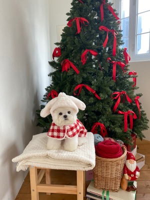 即納 【Hi Yeboo】Christmas Collection- Tweed Bunny Cape