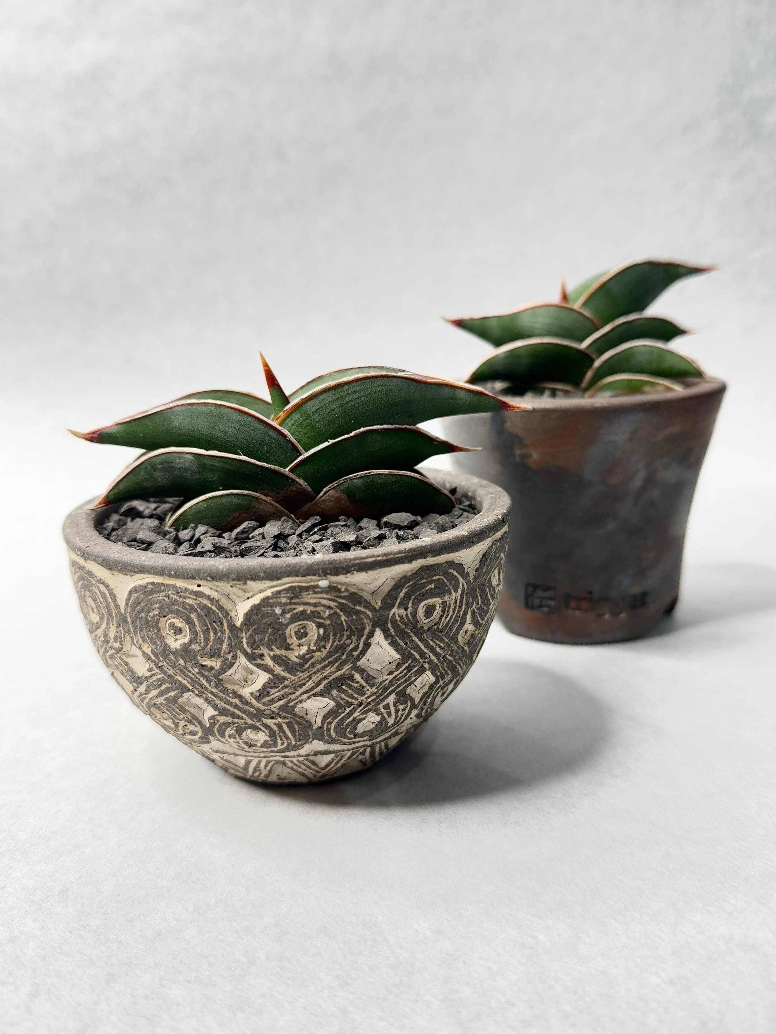 荻野善史 | trigger