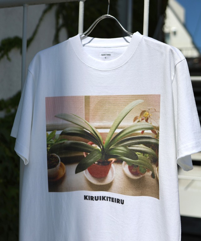 TANGTANG / T-4301 / GASATANG / KIRUIKITEIRU(WHITE)