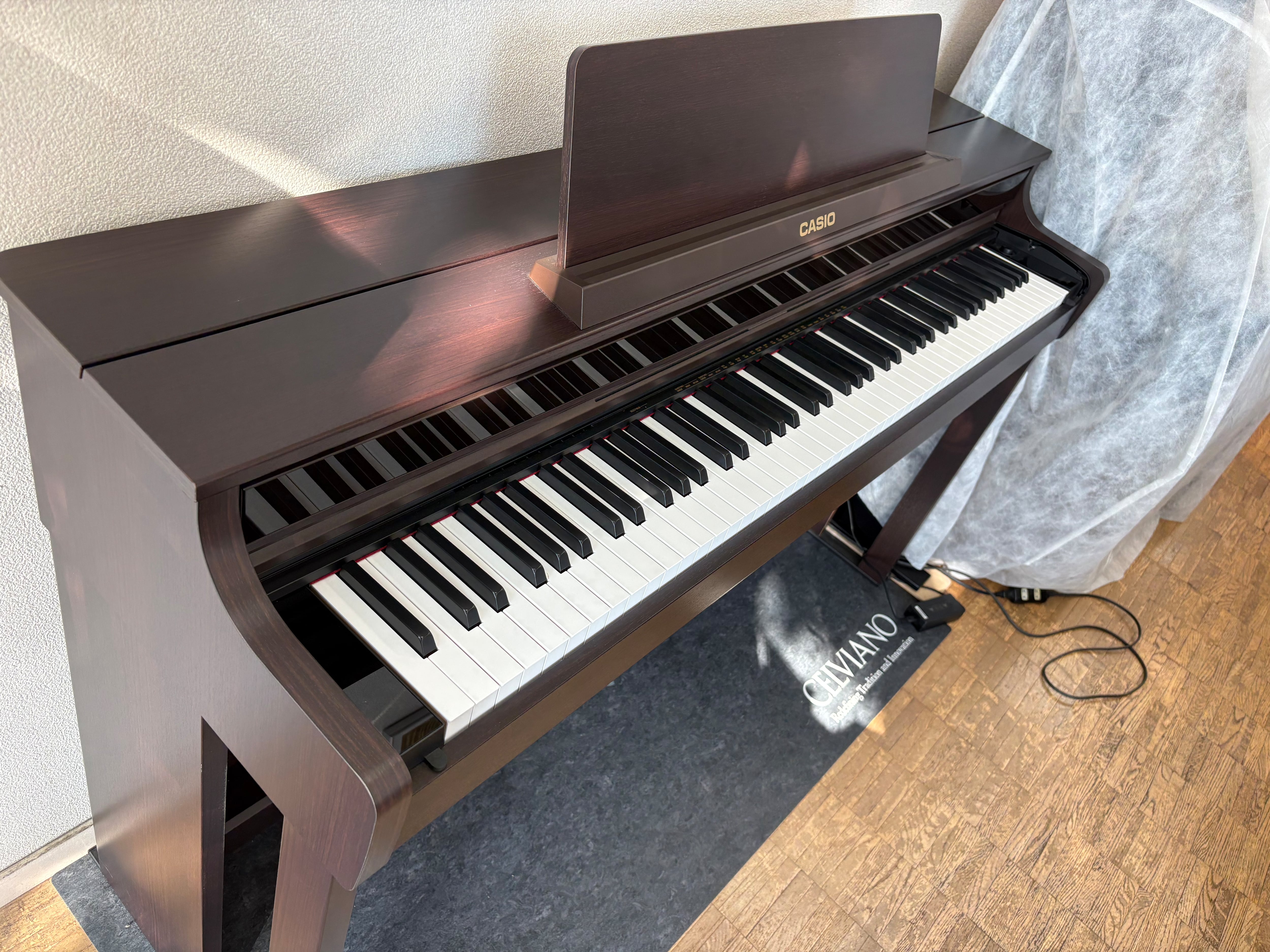 【展示処分品】カシオ　AP550BN