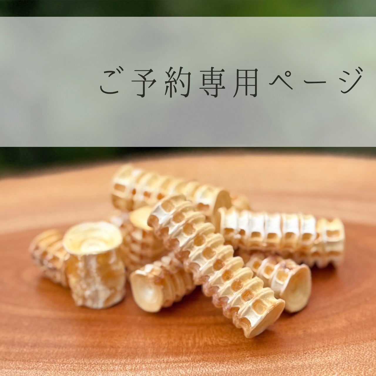 【ご予約/PTB20251228】ご予約専用