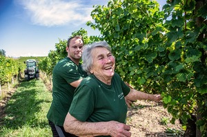 【ストゥルム 】ストゥルム フリウラーノ オーガニック 2023