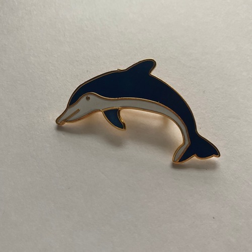 dolphin