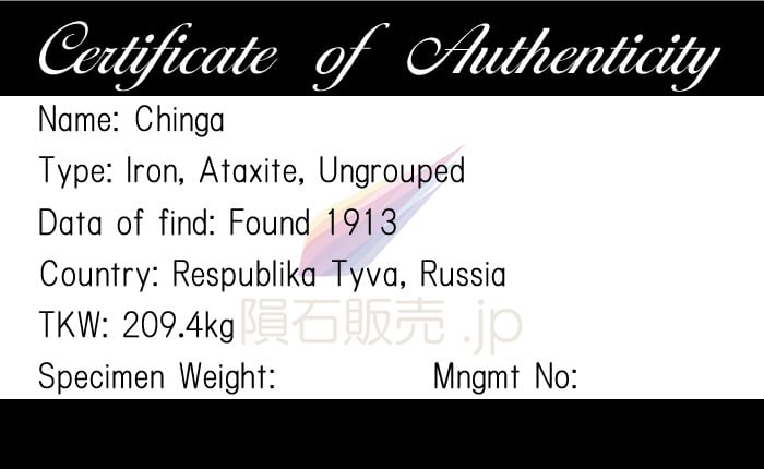 チンガー 隕石 79.9g チンガ アタキサイト 鉄隕石 標本 Chinga M2601