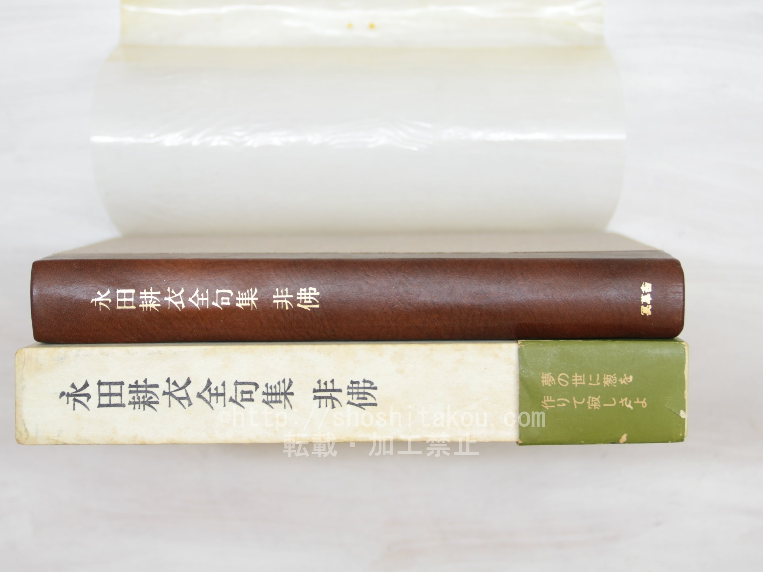 永田耕作 画作品集 泥・白黒・色彩 永田耕衣の会刊行 journal・不