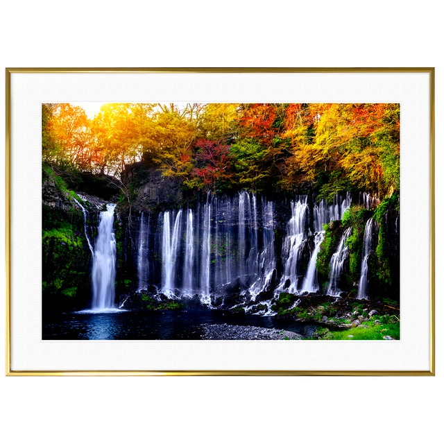 秋写真 紅葉(日本) 静岡県 白糸の滝  インテリアアートポスター額装 AS3431