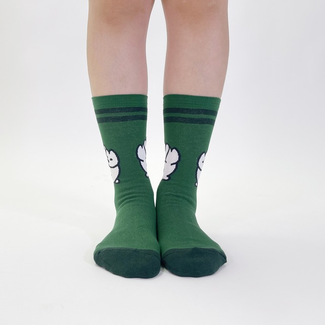 【matsui】SOCKS  ライン グリーン ソックス