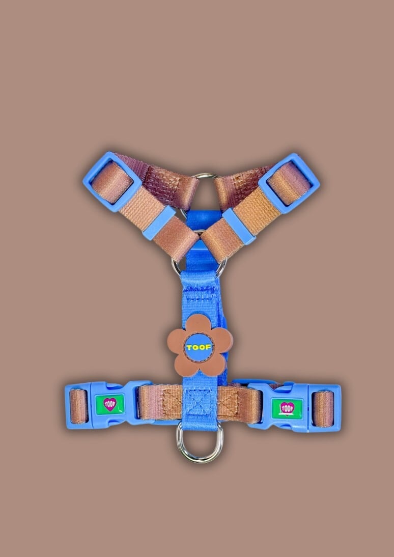 即納【TOOF】Flower Logo H Harness (BL/BR)