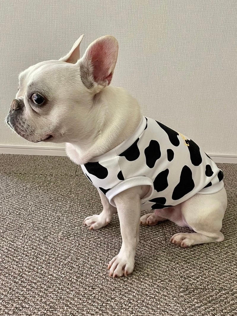 胴回り36センチ】うちの子可愛いタンクトップ犬服 胴回り36センチ】うちの子可愛いタンクトップ犬服