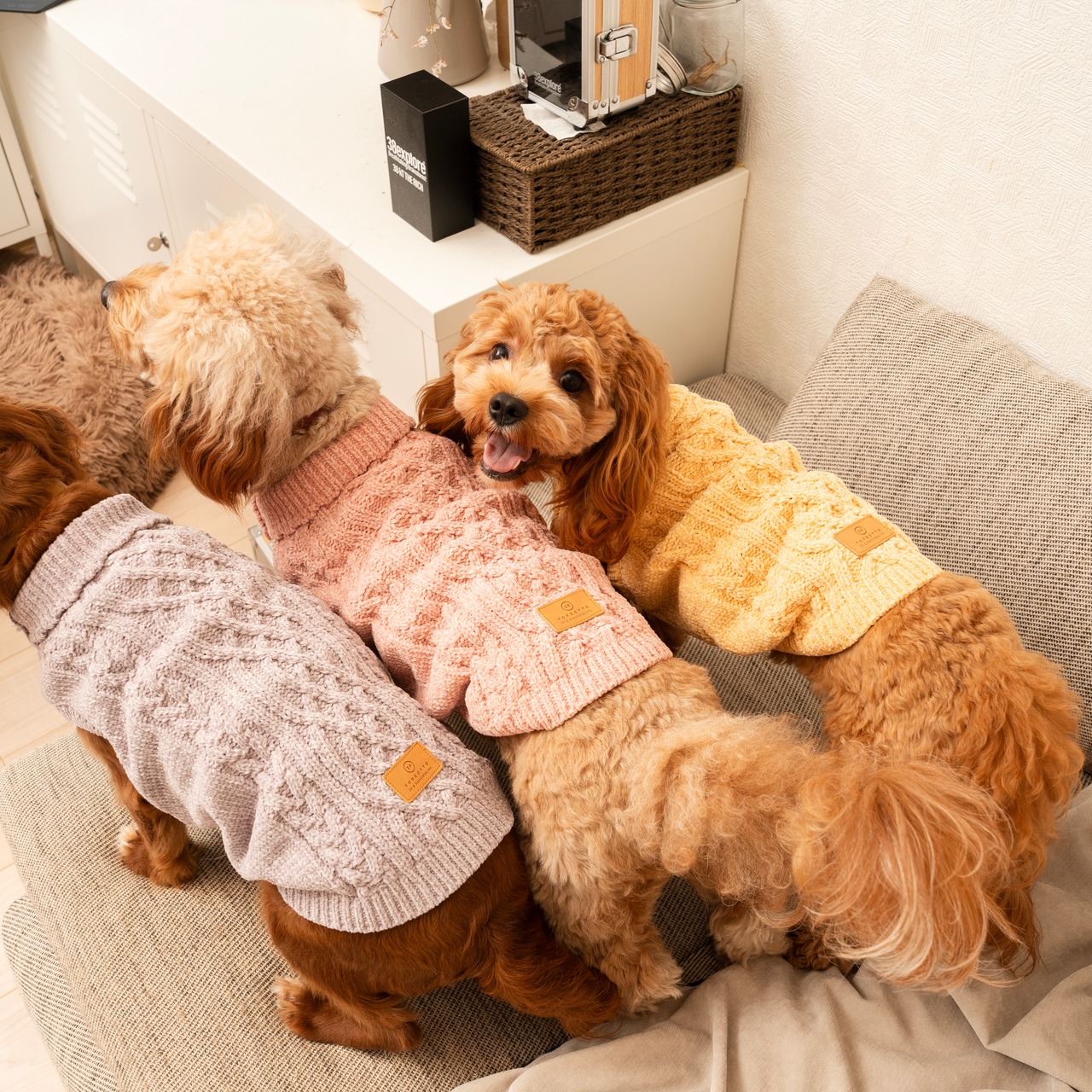 TOREOTTO38 DOG KNITVEST / YELLOW