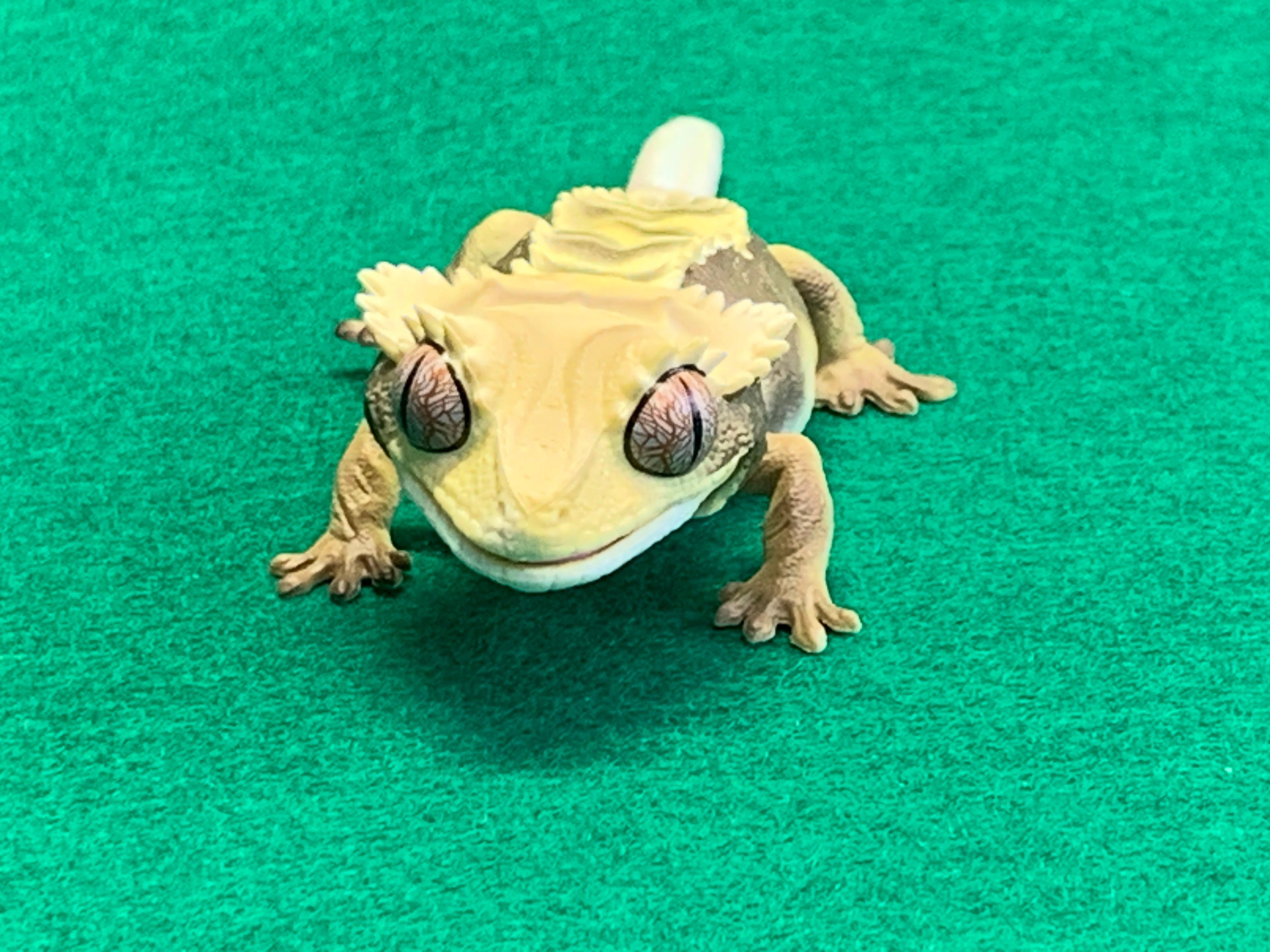 Bandai Capsule toys Crested gecko(flame) figure | makeofwonder