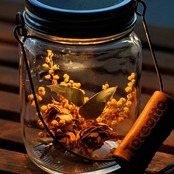 【クリスマスギフト】sonnenglas mini アンティークローズ&ミモザ2