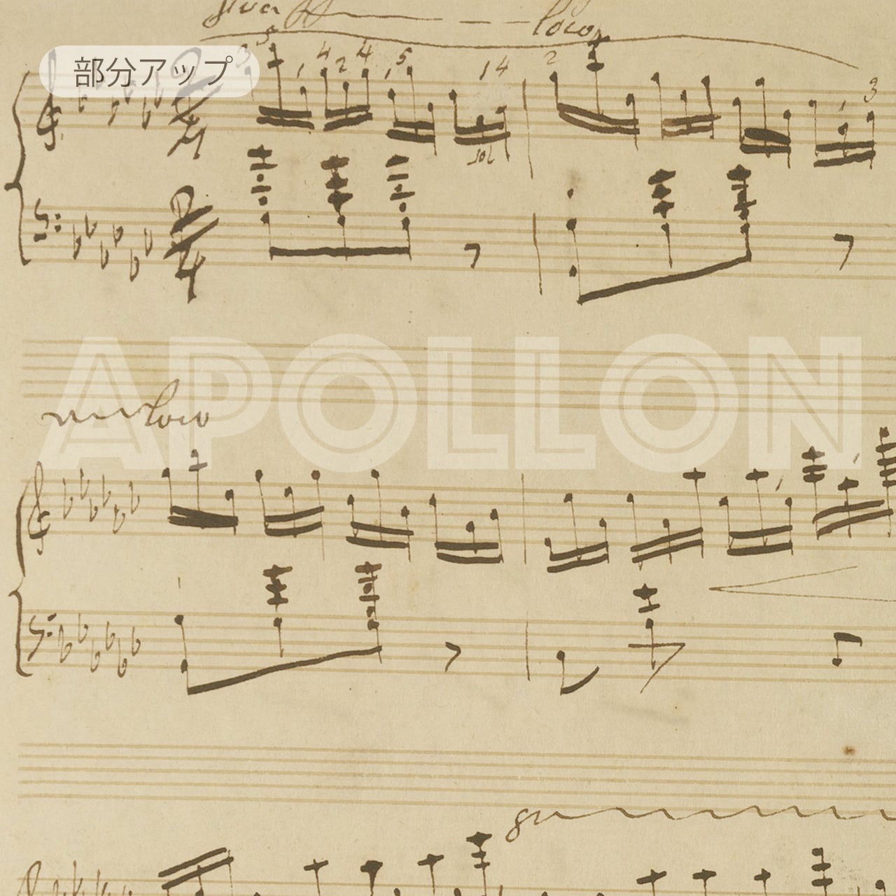 ショパン：「黒鍵のエチュード」 エチュード 変ト長調 Op. 10 No.5