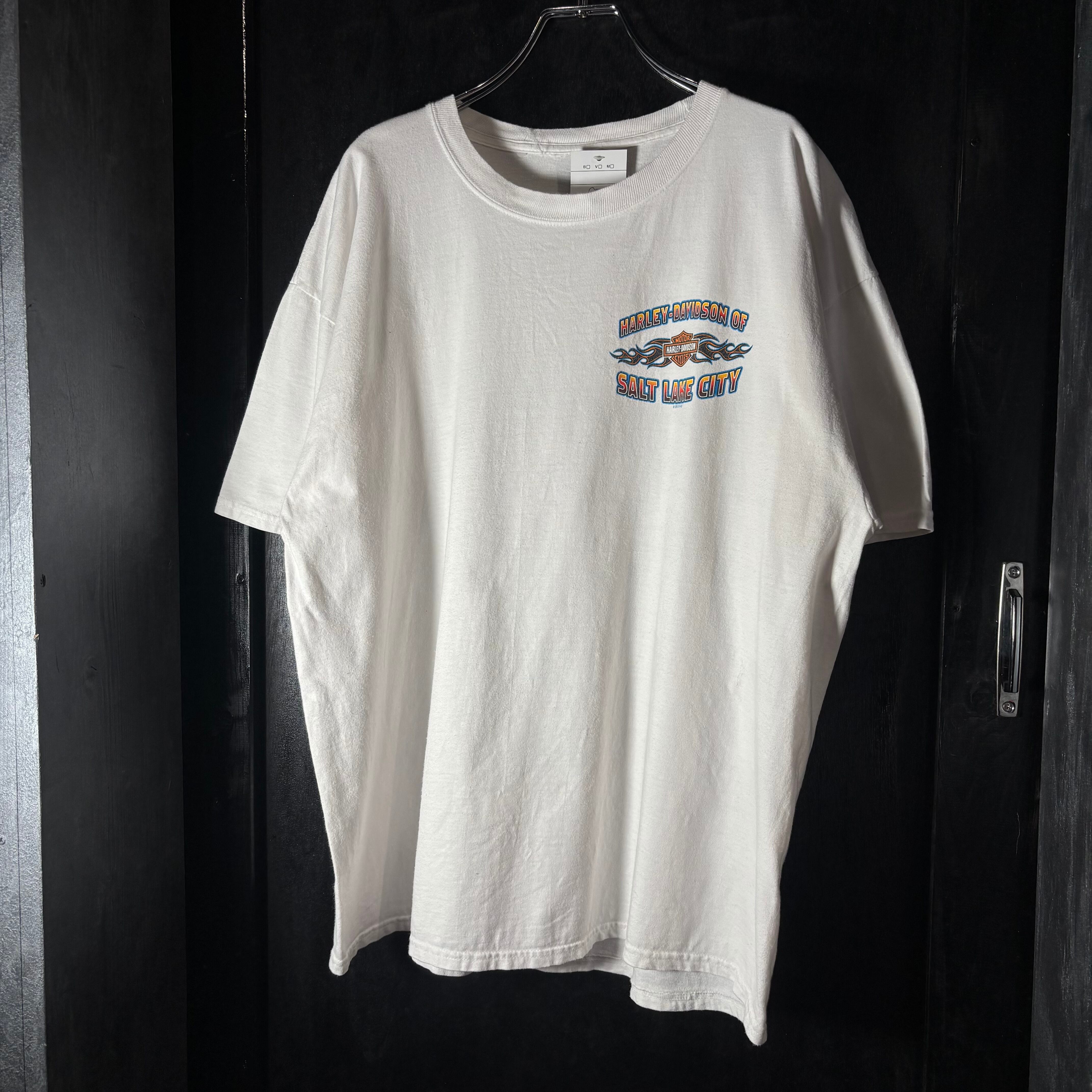 10s HARLEY-DAVIDSON T-shirt ハーレーダビッドソン Tシャツ ホワイト