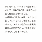 森の炭の森 Lサイズ【高さ26 ㎝】