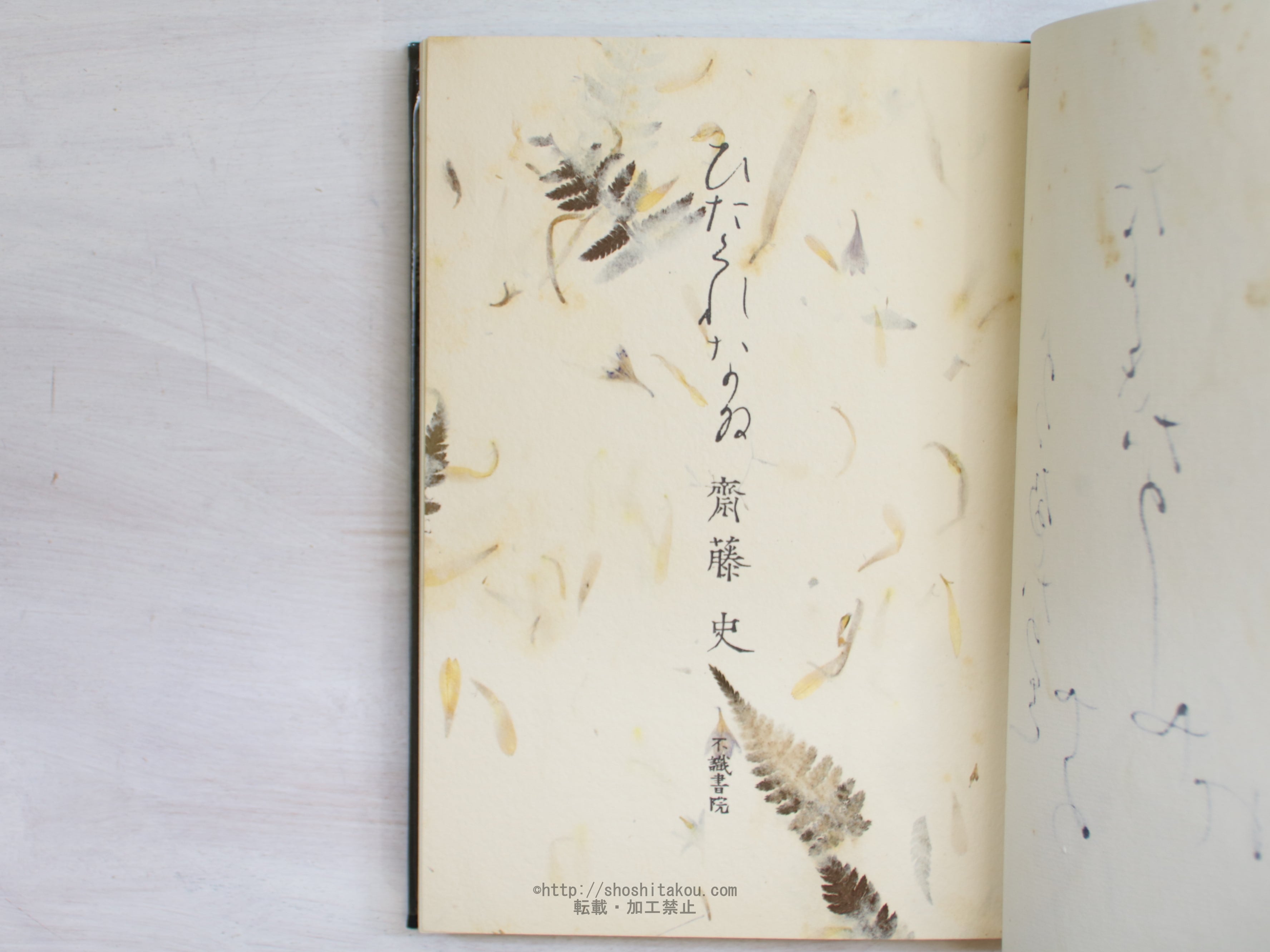 ひたくれなゐ　特装版101部　毛筆識語署名入/斉藤史/不識書院*34070 ひたくれなゐ 特装版101部 毛筆識語署名入 毛筆識語署名入&frasl;斉藤史&frasl; [25108] 毛筆識語署名入&frasl;斉藤史&frasl;不識書院*34070