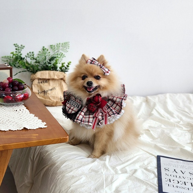 受注制作 【Loocia】 Merry berry check Cape / ペット服 犬服 猫服