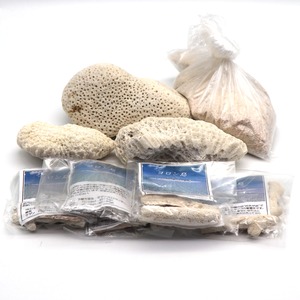 ヨロン島・珊瑚・サンゴ・コーラル・砂・置物・箸置き・インテリア・アクアリウム・No.201220-72・梱包サイズ80