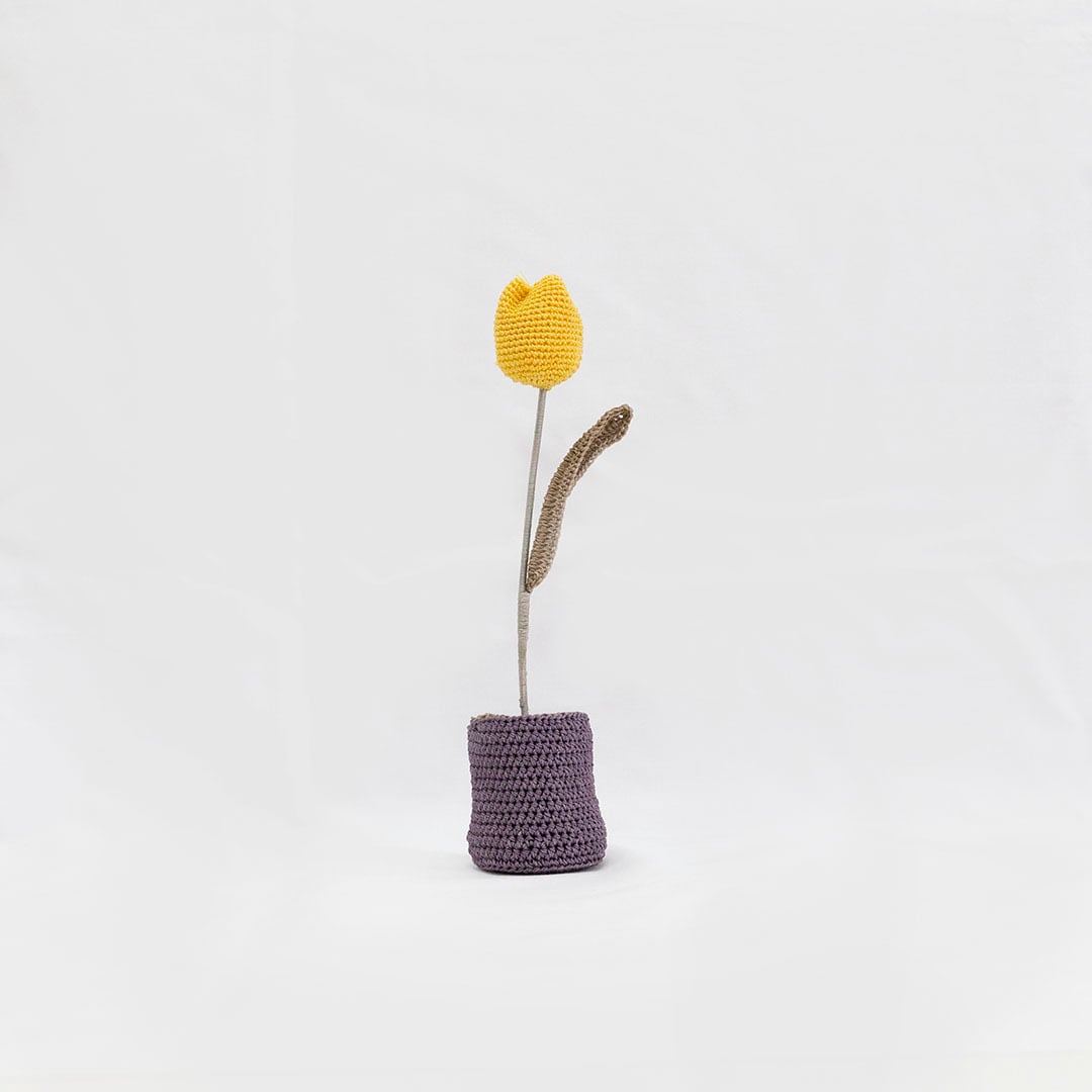 6481474ac6c0225da890ad5203deb0