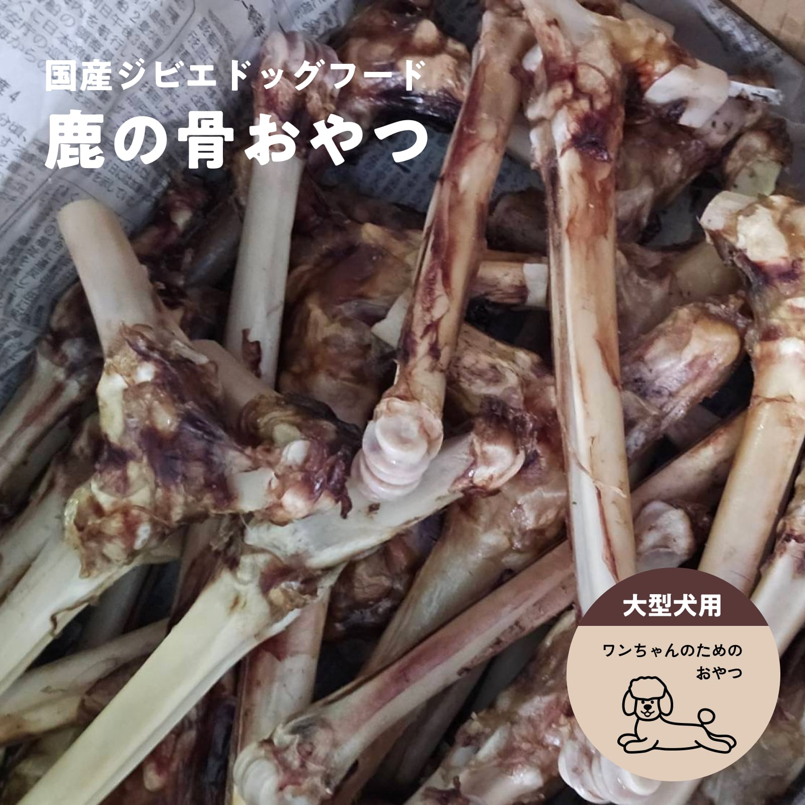 大容量1400g (国産・高品質)乾燥パパイヤの茎（無農薬・有機肥料