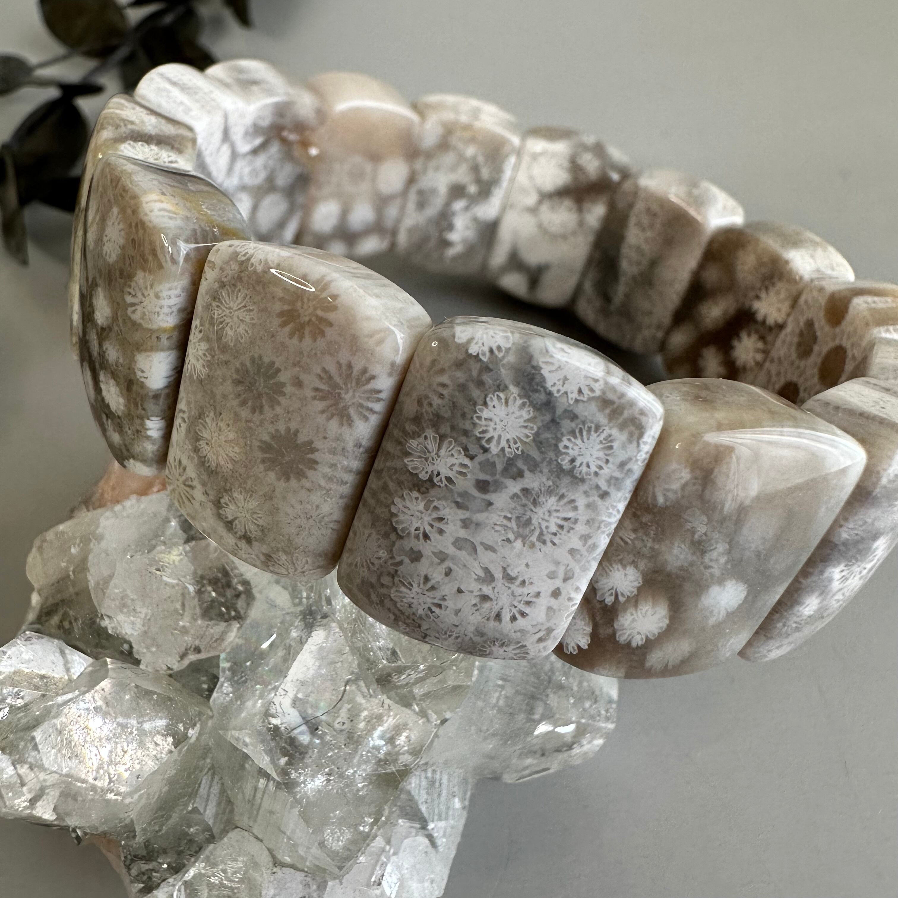 フォッシルコーラルバングル443 | 円と縁 オラクルと天然石のお店