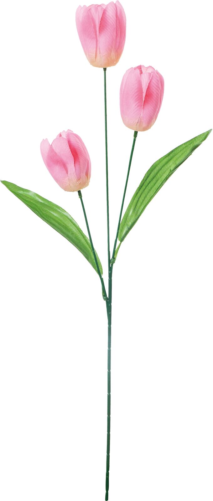 648ac3c176af76cd074b0f7d67c4e5