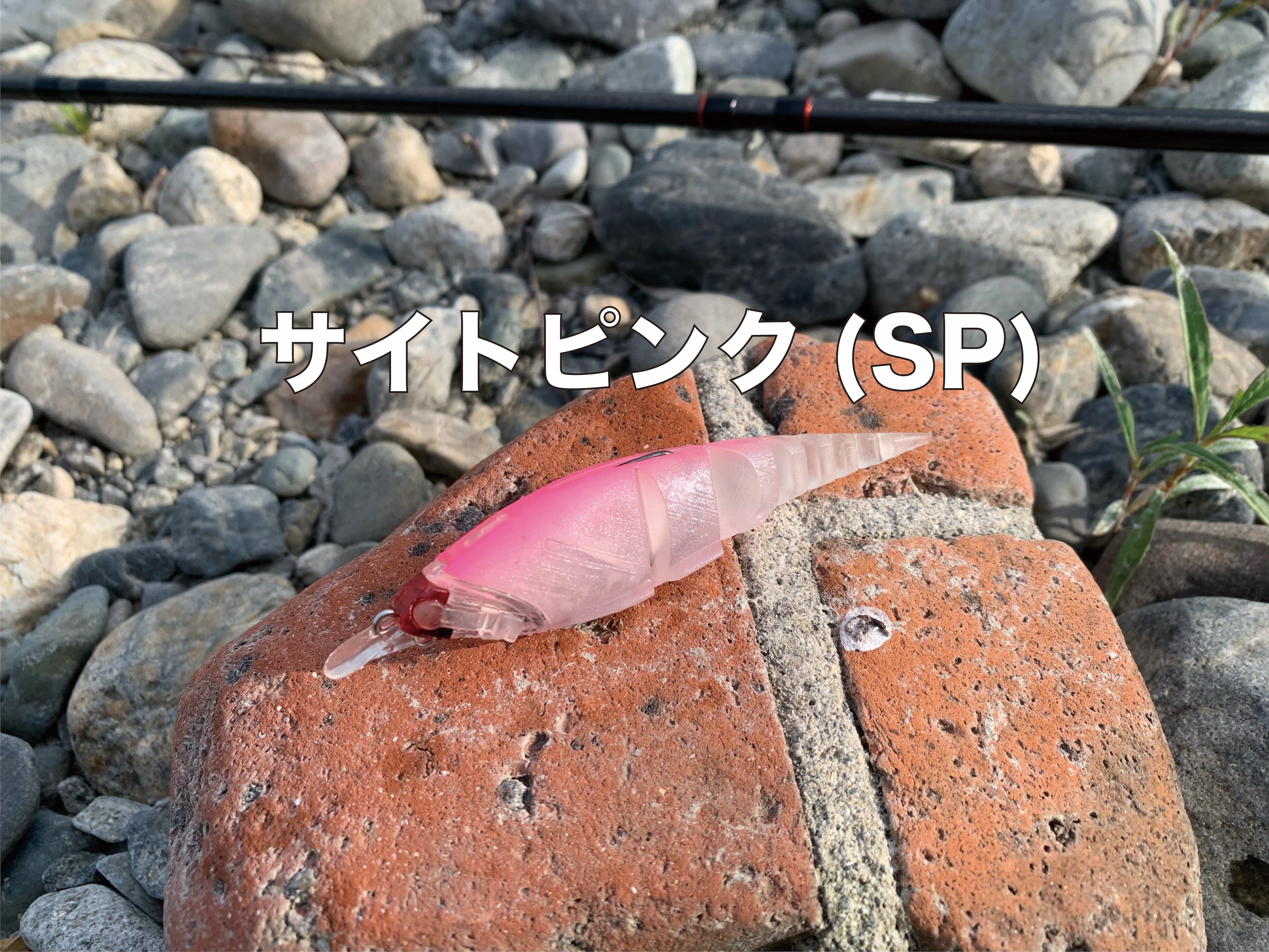 β-MINNOW | TTT