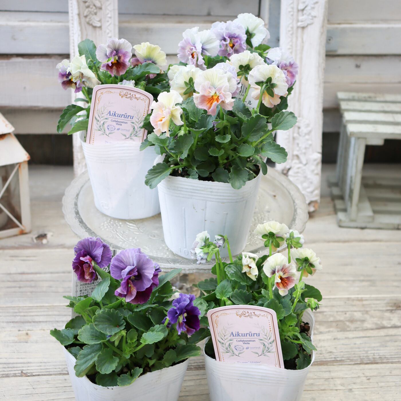 64973d5198ebaaecac4a4b9276a6f6