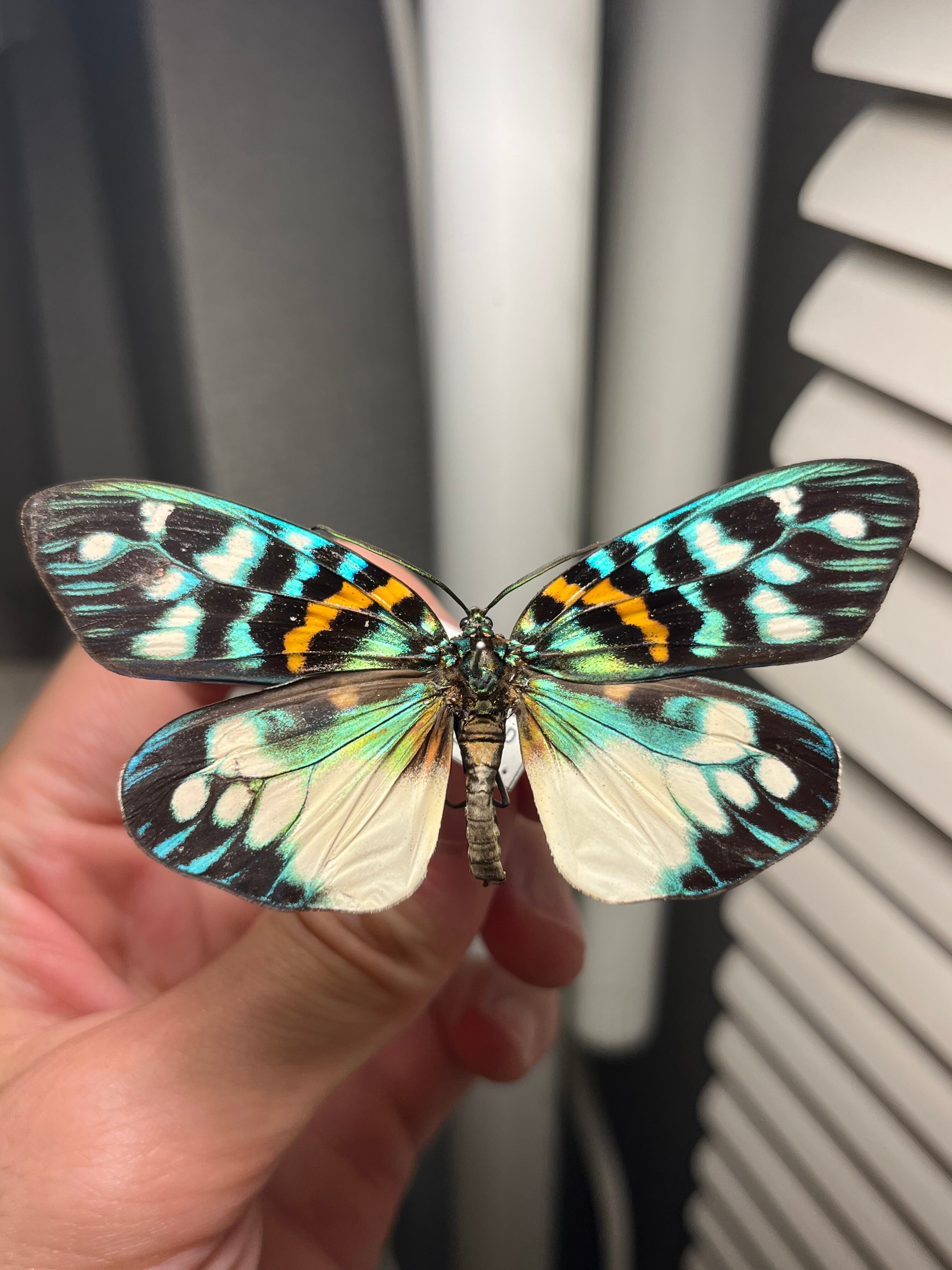 6499ed8cc3ba5baeceafbcd9f26ac4