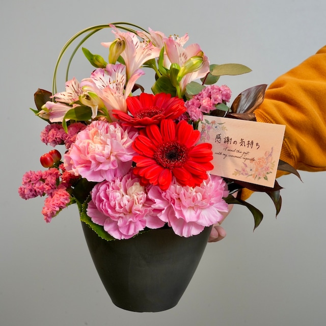 【来店予約】-koron コロン-４色のアレンジメント