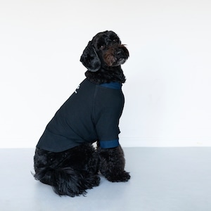 リラックスDOGウエア「YURUMI with VENEX」 M