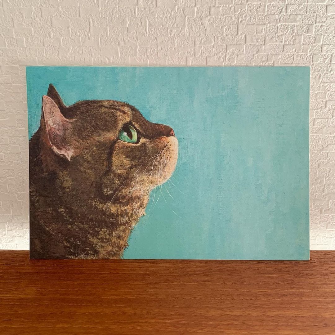 町田 尚子 】「なまえのないねこ」 大判ポストカード | 猫雑貨のお店