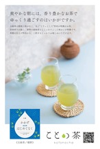 〈立夏〉 ことの茶　玉緑茶、本蒸し茶、おくみどり
