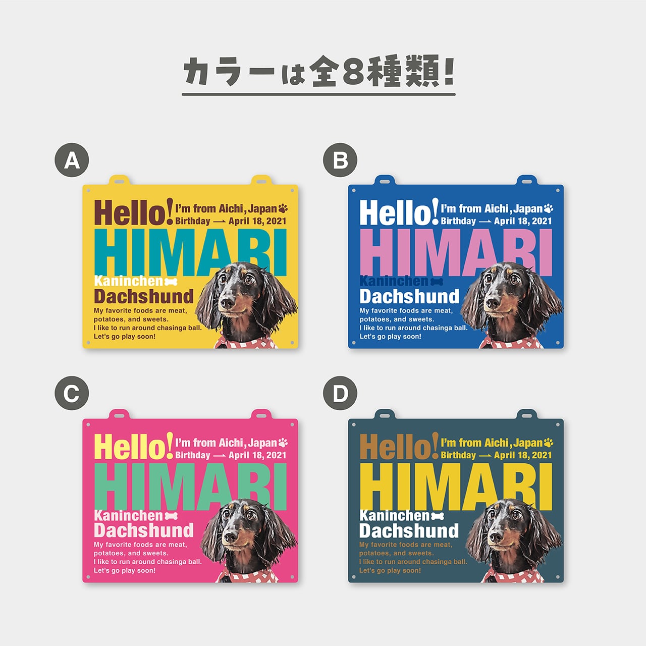 ☆光る】カートプレート〈ポップstyle〉 | ひまわんギャラリー