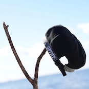 GIFTHAT LEO BERET