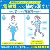 ファイン(FINE JAPAN) スポーツドリンク イオンドリンク スポーツドリンク味 砂糖ゼロ 脂質ゼロ 国内生産 22包入×3個セット