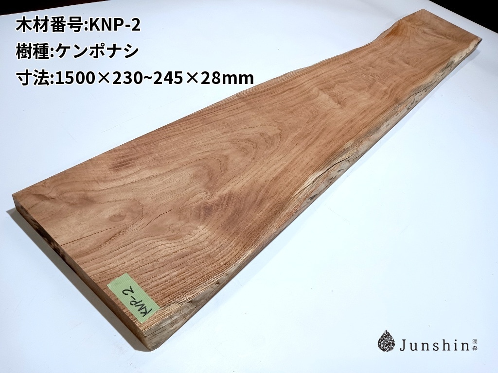 KNP-2