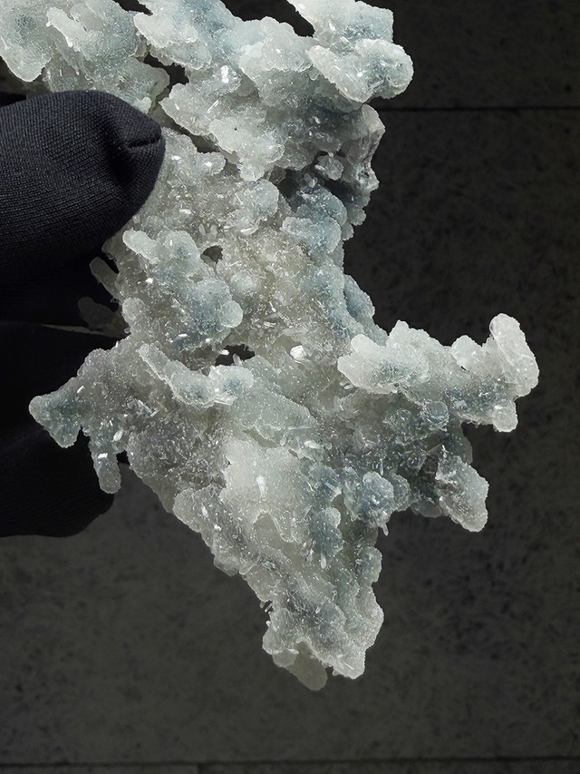 ブルーカルセドニーコーラル【ML-0176】インド