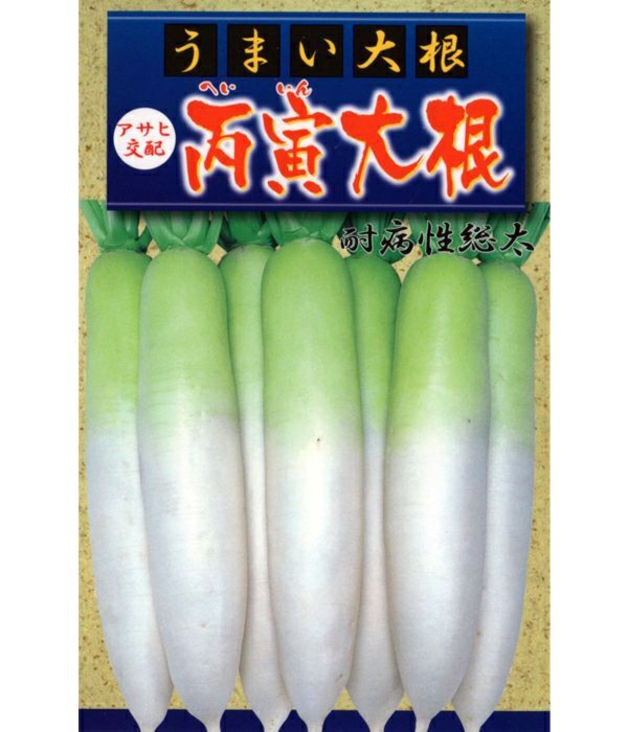 うまい大根　アサヒ交配丙寅大根