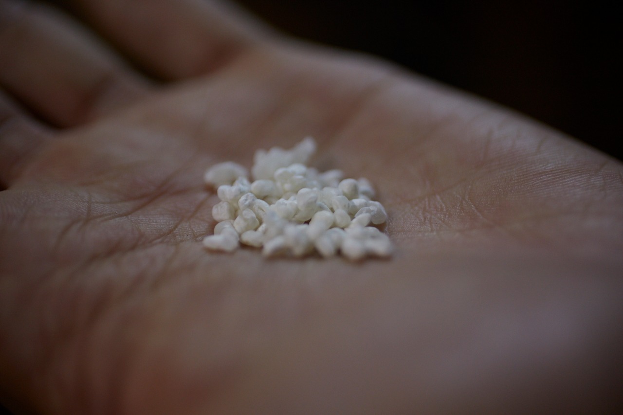 藤井 酒粕　500ｇ