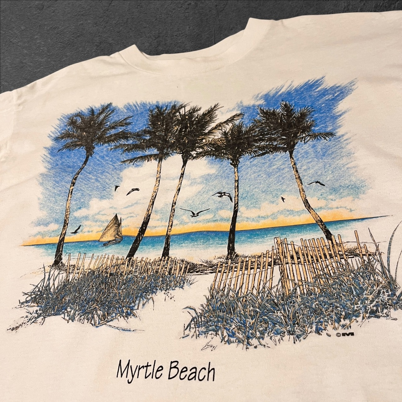 00s Sunshine Apparel Myrtle Beach Palm Tree T-shirt USA-made