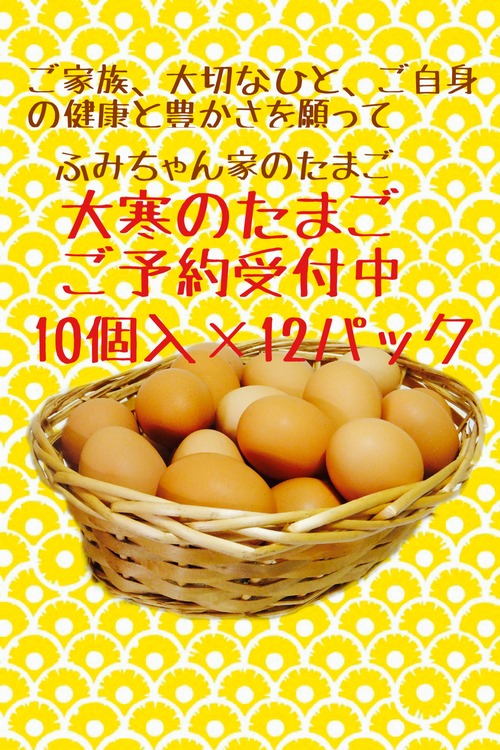 大寒のたまご１０個入×１２パック