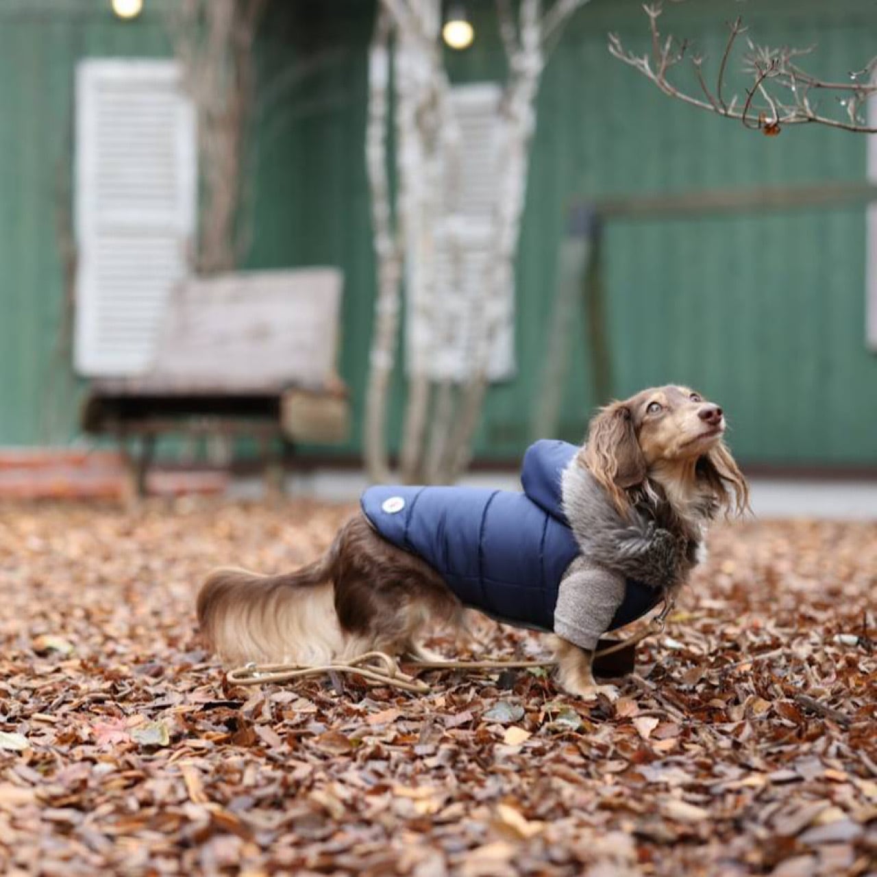 ダウンジャケット（ファー付きフード) 2022-2023 ※リバーシブル