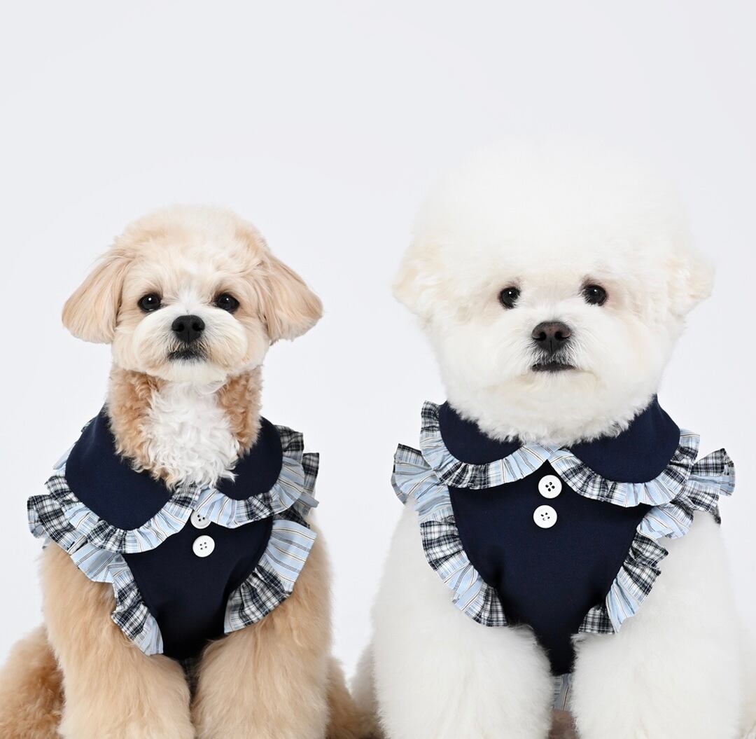 足を通さないウェア ‐ (NAVY)